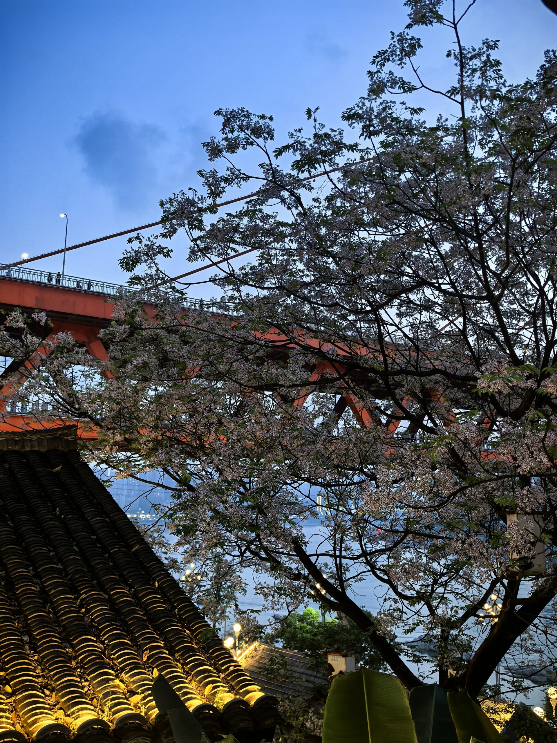 <span class="vcard">Omnix</span>