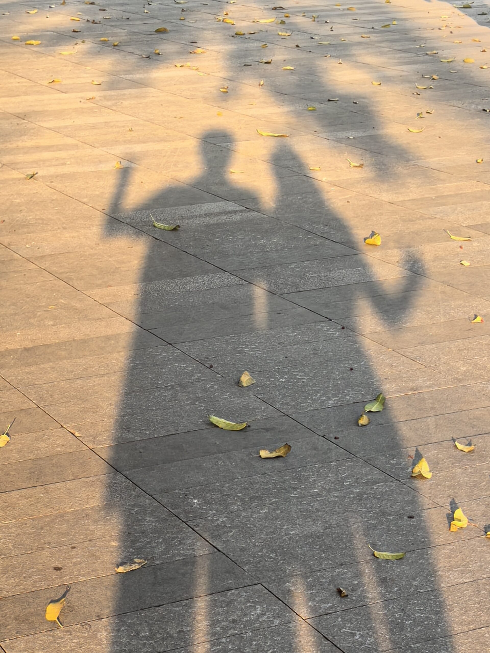在一起一个月写下的话